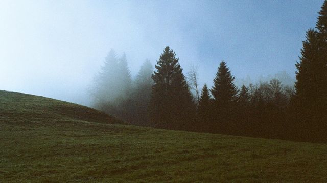 Kevin staub 9 Hg M66 BB7 OU unsplash