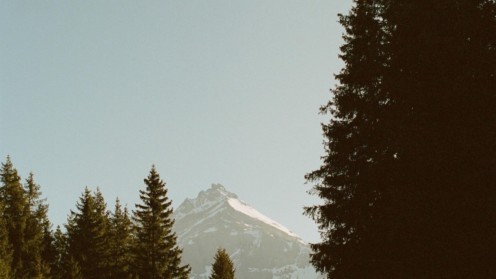 Kevin staub CQ Kb IM0 Oe Cc unsplash