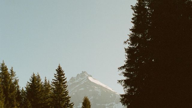 Kevin staub CQ Kb IM0 Oe Cc unsplash