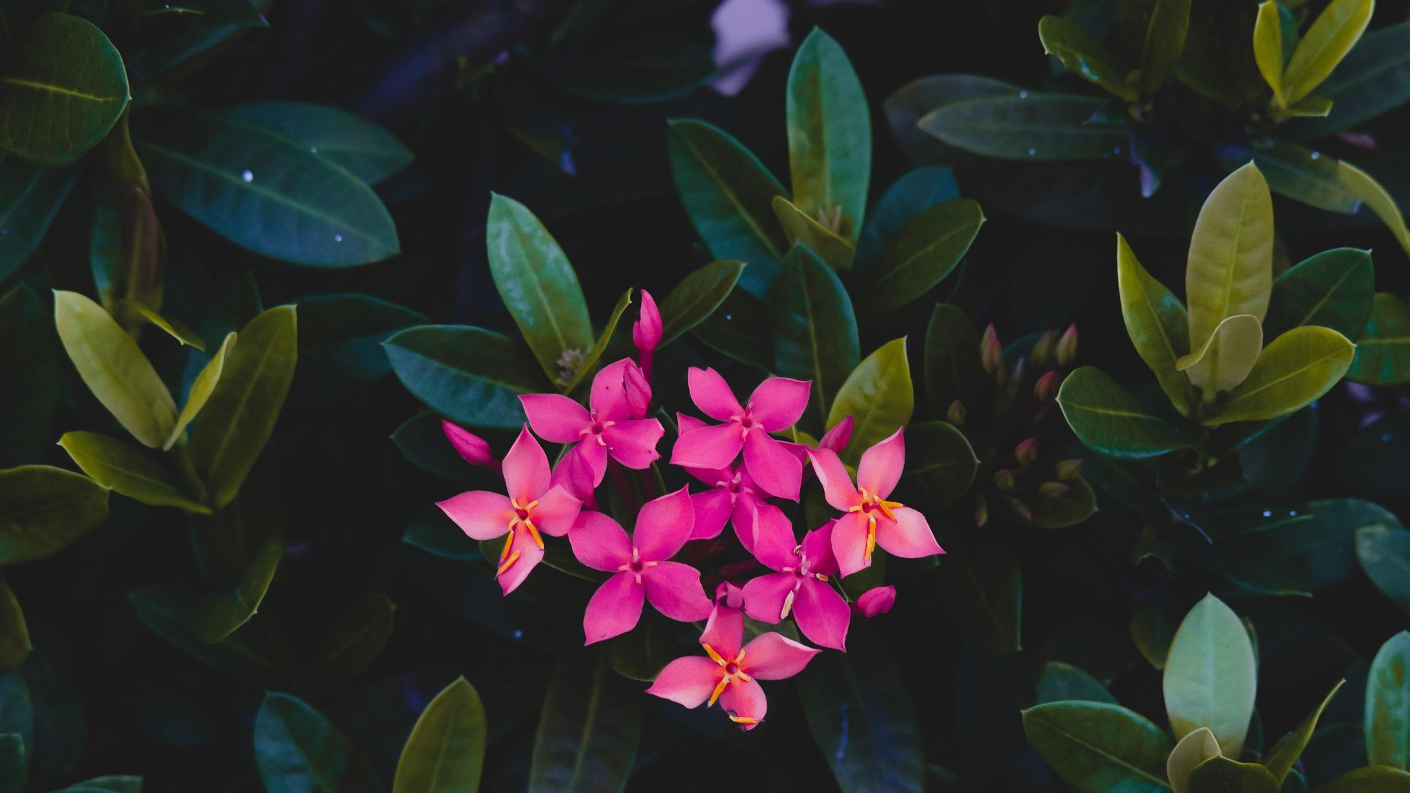 Road ahead Bs ZK En5 LYD8 unsplash